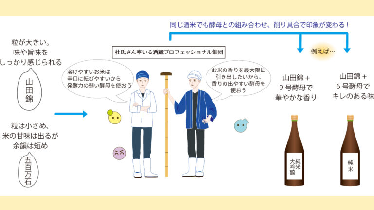 イラストで解説 酒米の特徴を生かすも殺すも酵母次第 元きき酒師 日本酒かあさん高齢育児中